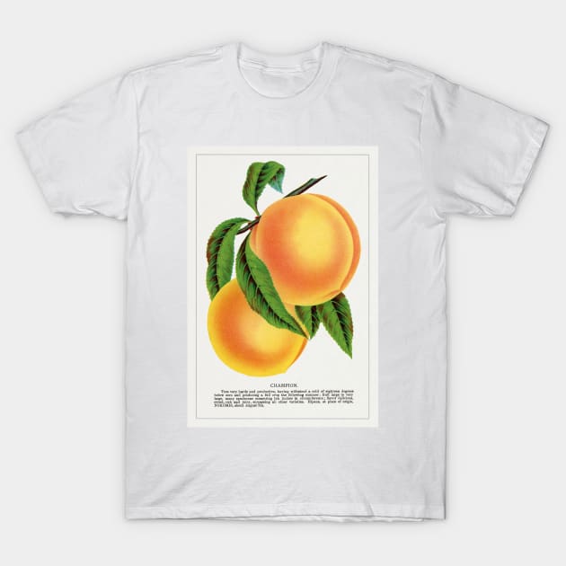 Champion Plum Lithograph (1900) T-Shirt by WAITE-SMITH VINTAGE ART